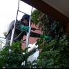 Tratamiento de jardines.